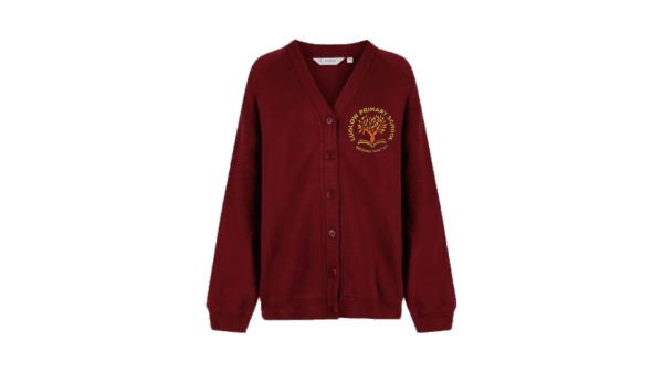 Ludlow Primary Cardigan