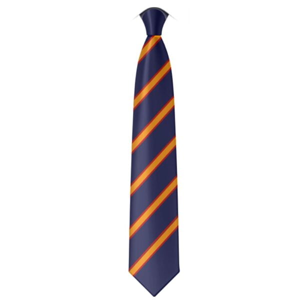 St Regis Tie year 10 11 1