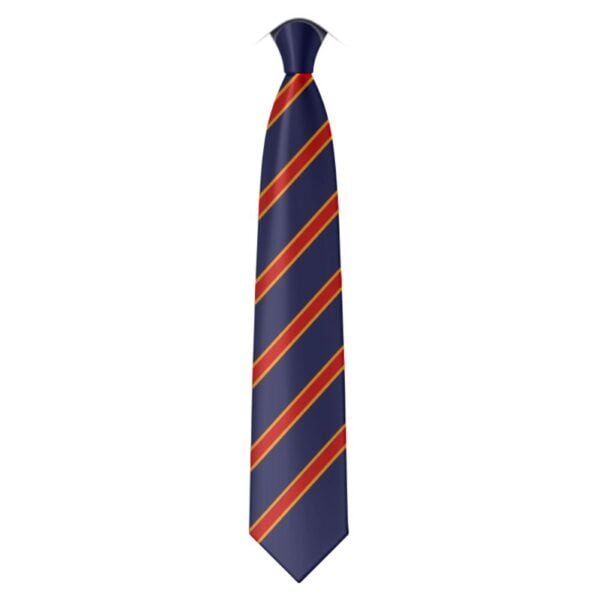 St Regis Tie year 7 8 9